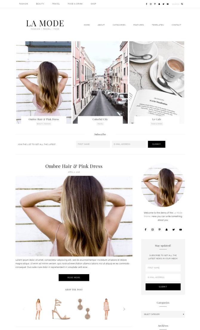 WordPress Theme